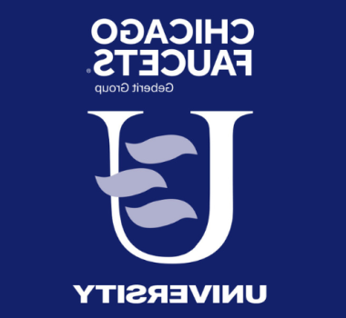 芝加哥水龙头 University Logo